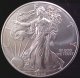 [2013 American Silver Eagle legal tender (UNC)]