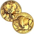 [American Buffalo Gold Coin .9999  (back date)]