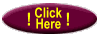 Daily Web Specials